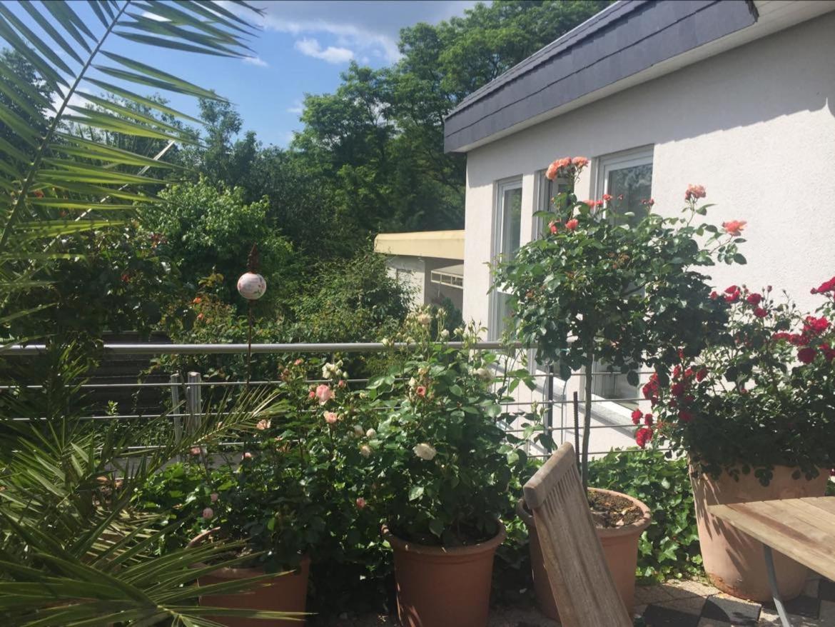 Apartament Bei Annemarie Trewir Zewnętrze zdjęcie